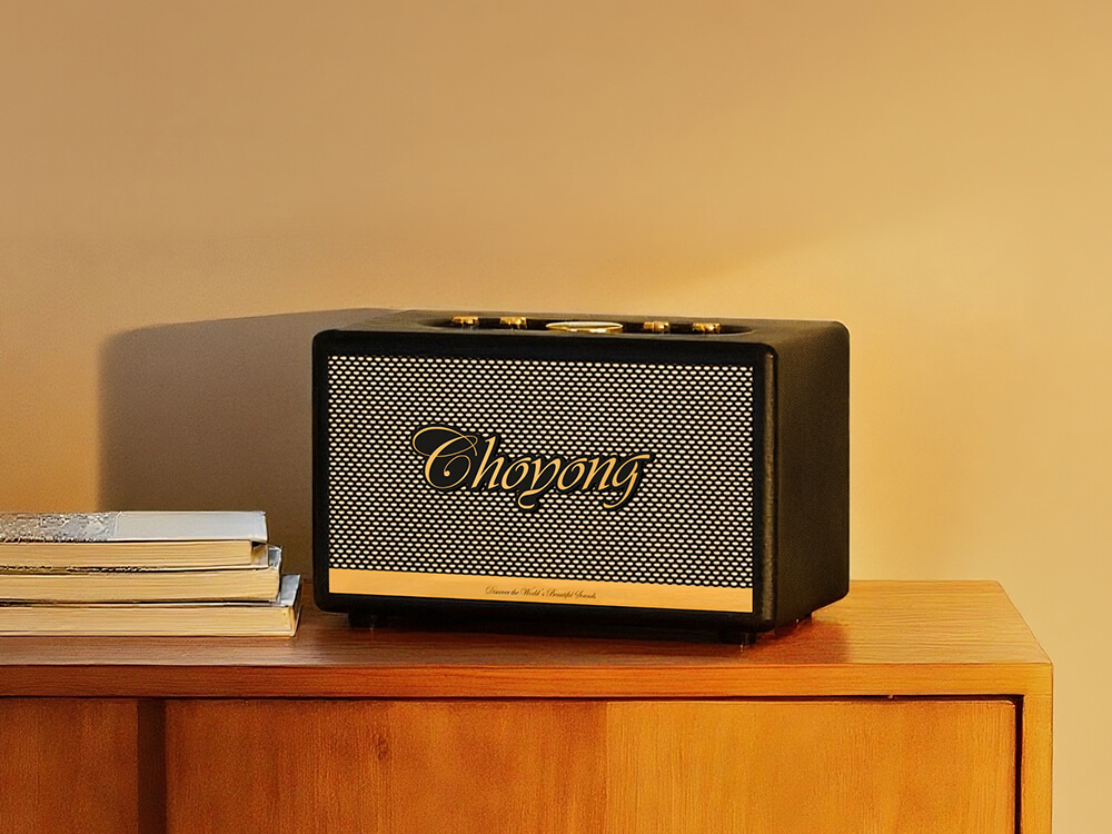 Choyong Maestro C2 — A Decade in Silence, Now Let the Sound Speak